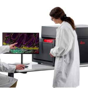 Cell DIVE | Solución de imagen de tejido multiplexing