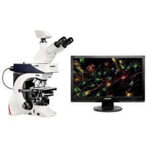 Microscopio Leica DM2500