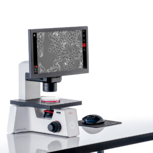Microscopio Digital Cultivo Celular Mateo TL | Leica