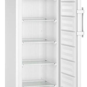 Congelador vertical para laboratorios SFFfg 4001 | Con estantes