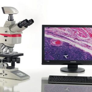 Microscopio vertical Leica DM4 B