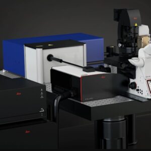 Microscopio de Fluorescencia STELLARIS 8 CRS | Leica