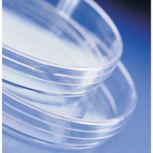 Placas de Petri | Microbiología