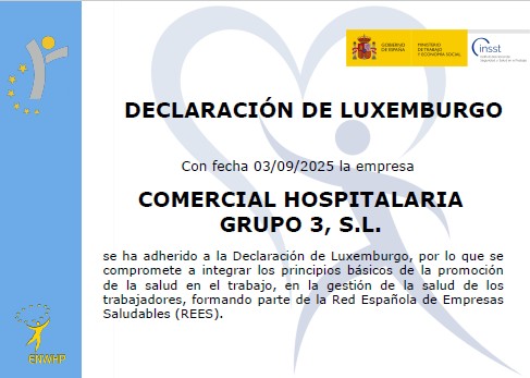 Declaracion_Luxemburgo